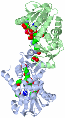 Image Biological Unit 3