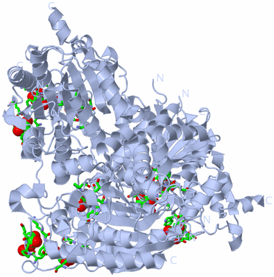 Image Biol. Unit 1 - sites