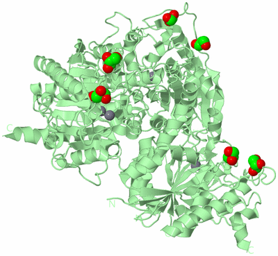 Image Biological Unit 2