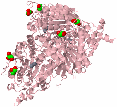 Image Biological Unit 3