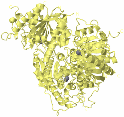 Image Biological Unit 4