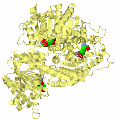 Image Biological Unit 4