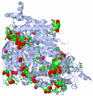 Image Biol. Unit 1 - sites