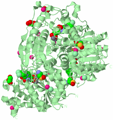 Image Biological Unit 2