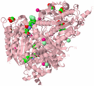 Image Biological Unit 3