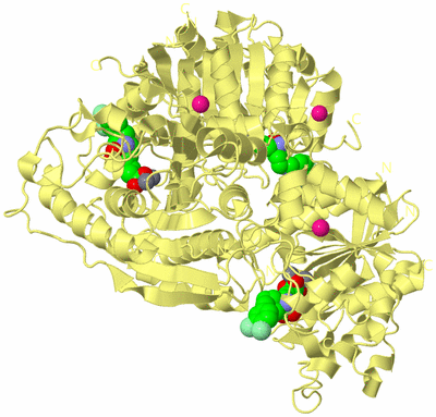 Image Biological Unit 4