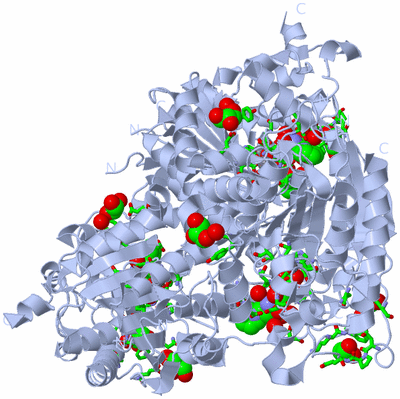 Image Biol. Unit 1 - sites