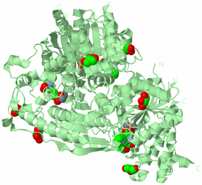 Image Biological Unit 2