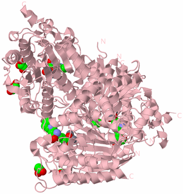 Image Biological Unit 3