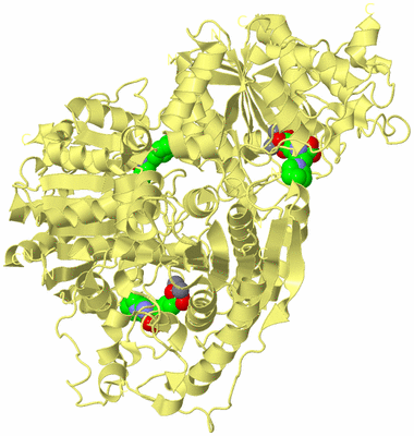 Image Biological Unit 4