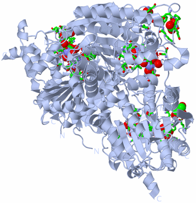 Image Biol. Unit 1 - sites