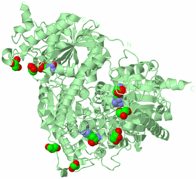 Image Biological Unit 2