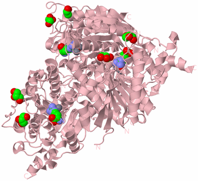 Image Biological Unit 3