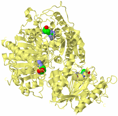 Image Biological Unit 4