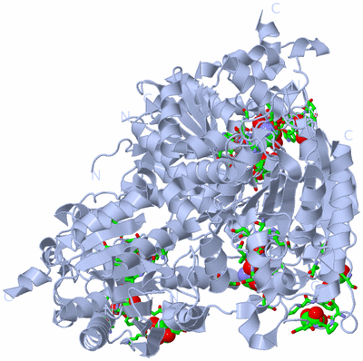 Image Biol. Unit 1 - sites