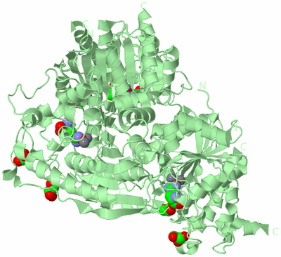 Image Biological Unit 2