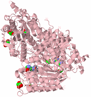 Image Biological Unit 3