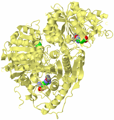 Image Biological Unit 4