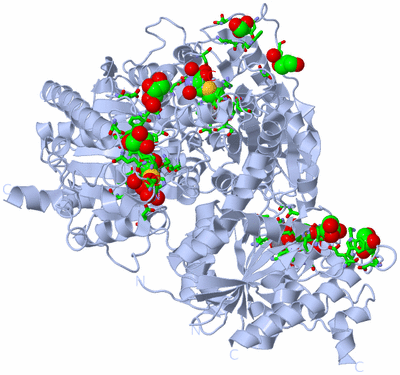 Image Biol. Unit 1 - sites