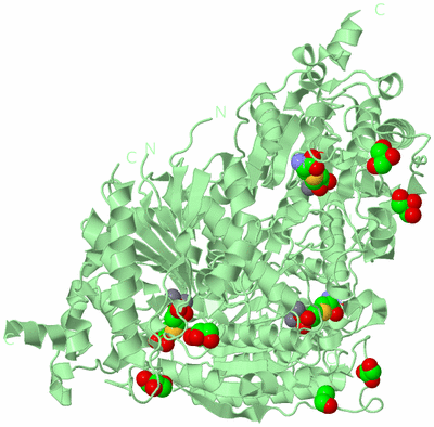 Image Biological Unit 2