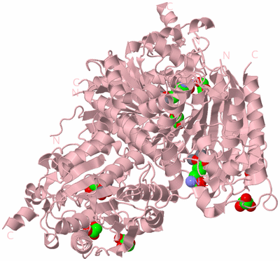 Image Biological Unit 3