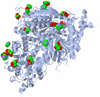 Image Biological Unit 1