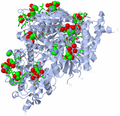 Image Biol. Unit 1 - sites