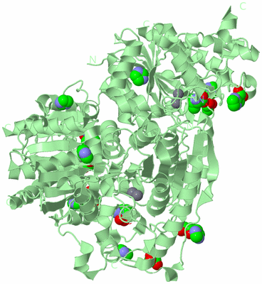 Image Biological Unit 2