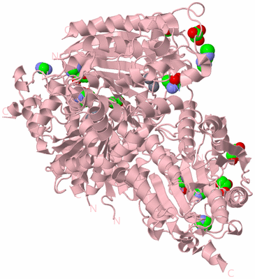 Image Biological Unit 3