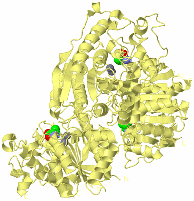 Image Biological Unit 4