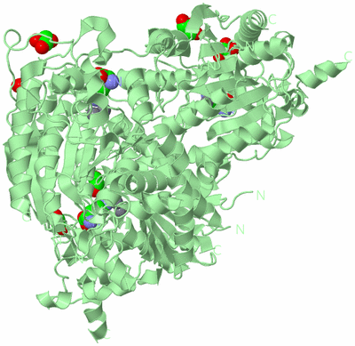 Image Biological Unit 2