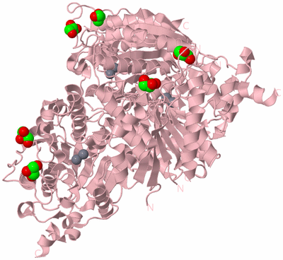 Image Biological Unit 3