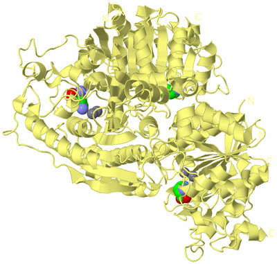 Image Biological Unit 4