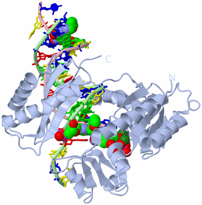 Image Biological Unit 1