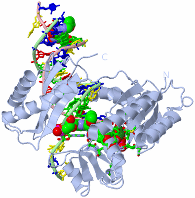 Image Biol. Unit 1 - sites