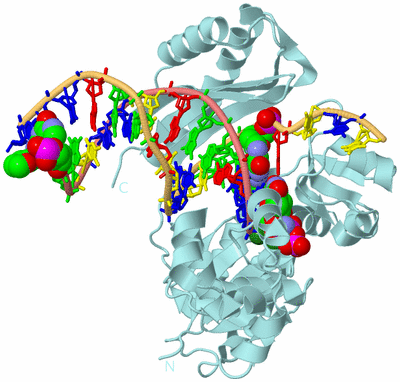 Image Biological Unit 2