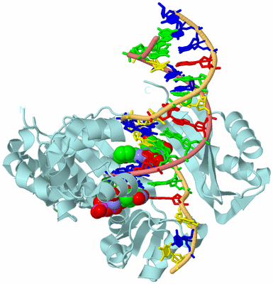 Image Biological Unit 1