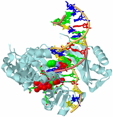 Image Biol. Unit 1 - sites