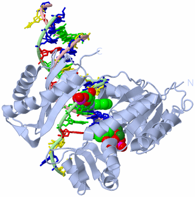 Image Biological Unit 2