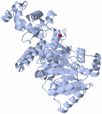 Image Biological Unit 1