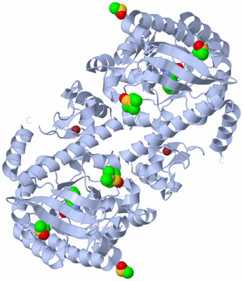 Image Biological Unit 1