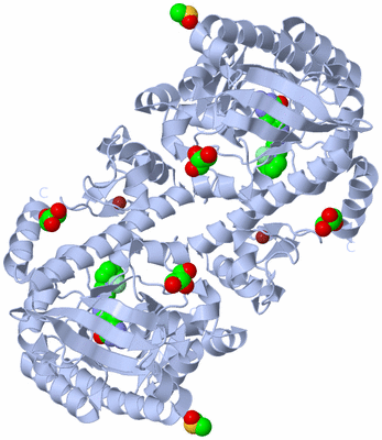 Image Biological Unit 1