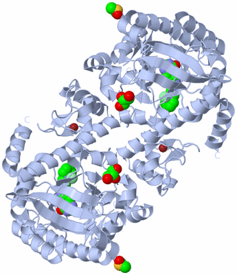 Image Biological Unit 1