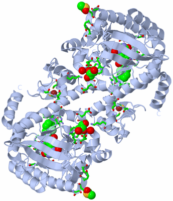 Image Biol. Unit 1 - sites