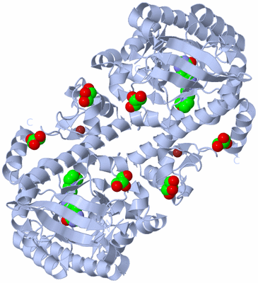 Image Biological Unit 1