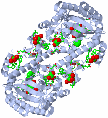 Image Biol. Unit 1 - sites