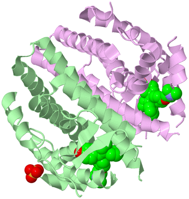 Image Biological Unit 2