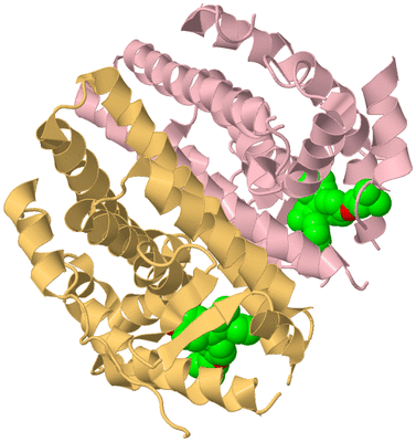 Image Biological Unit 3