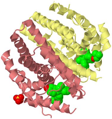 Image Biological Unit 4