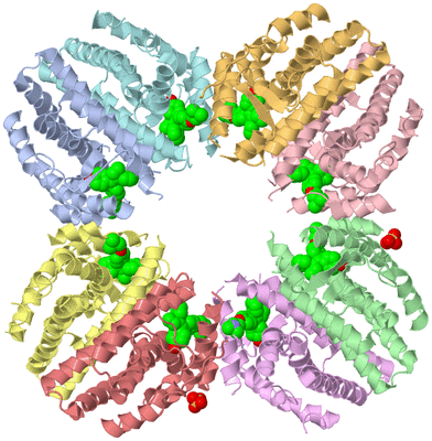 Image Biological Unit 5